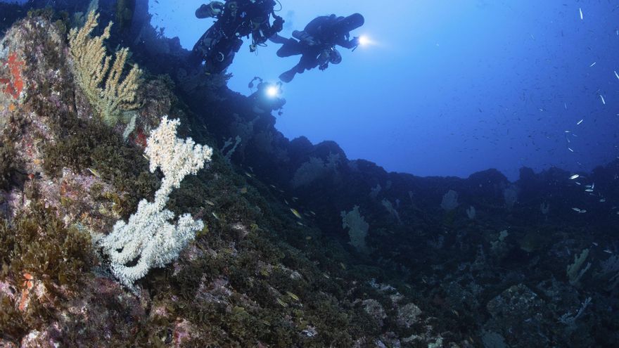 Buceadores en el Bajo de Las Gerardias