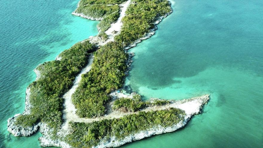 Los científicos querían medir los niveles de agua de las Bahamas y acaban descubriendo que los tiburones van hasta arriba de cocaína