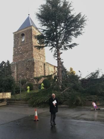 Talan en La Bañeza la conífera de la plaza de la iglesia del Salvador. En la imagen el párroco Sr. Cabero.