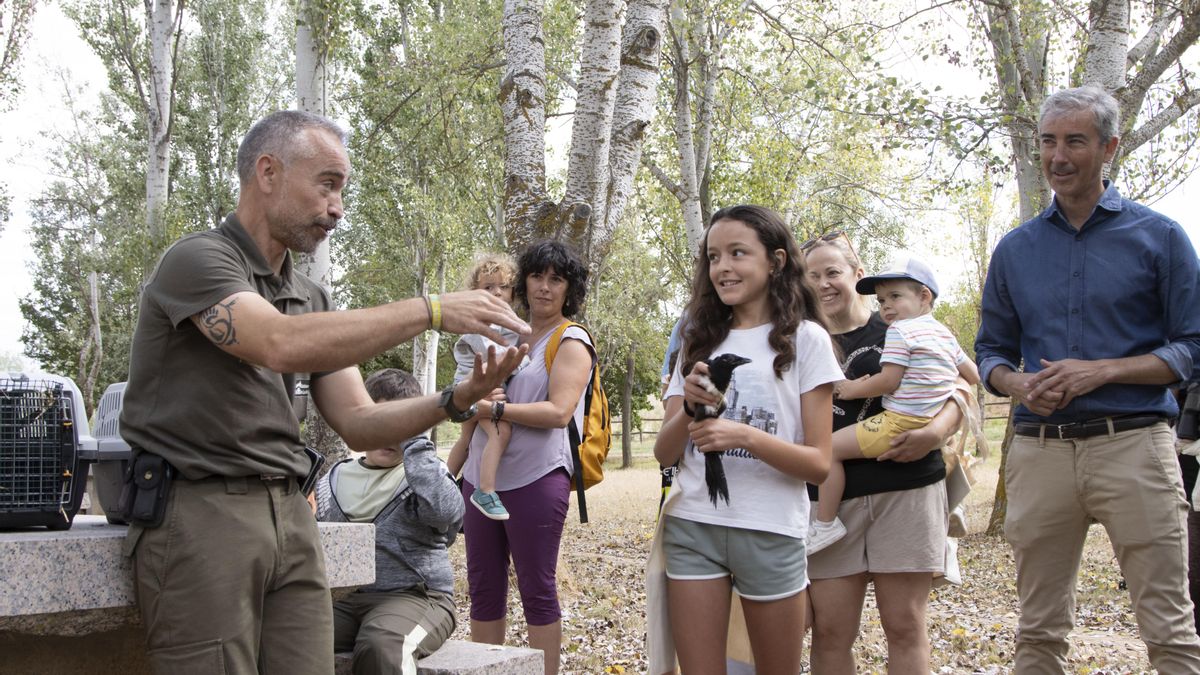 Las aves huérfanas vuelven a volar: 25 ejemplares y un erizo regresan a la naturaleza gracias a los voluntarios