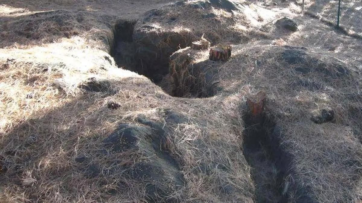 La Memoria Histórica de La Palma impulsa un programa para dignificar las víctimas de la guerra