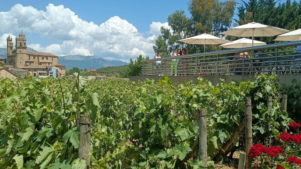 El vino alavés y el reto de afrontar el arancel del 15% en las ventas a Estados Unidos