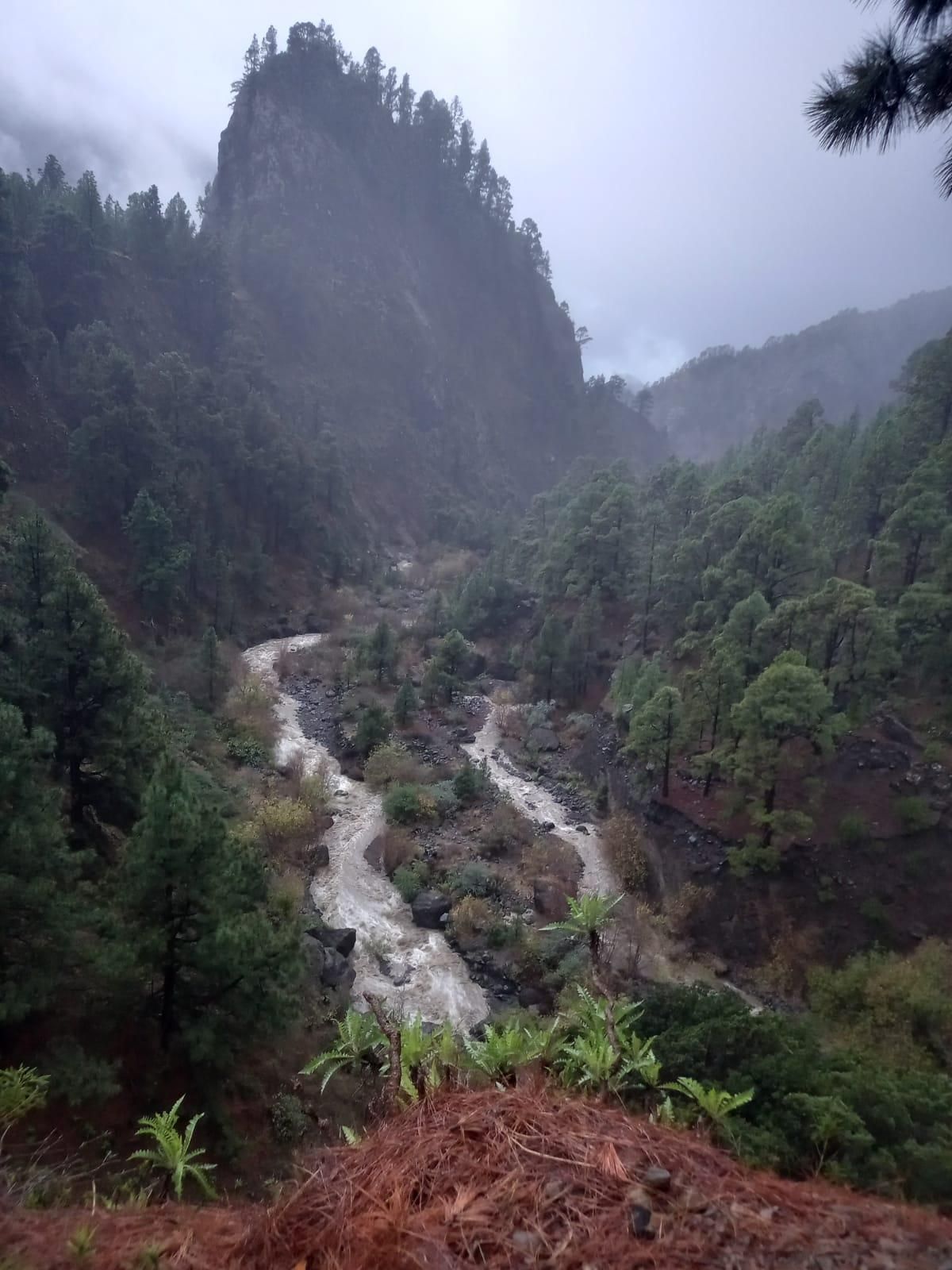 Barranco de Las Angustias, este martes, 21 de diciembre.
