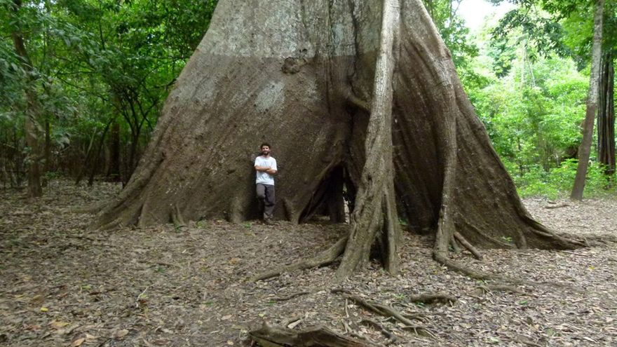 Las estaciones húmedas en la Amazonía son cada vez más húmedas, y las secas, más secas