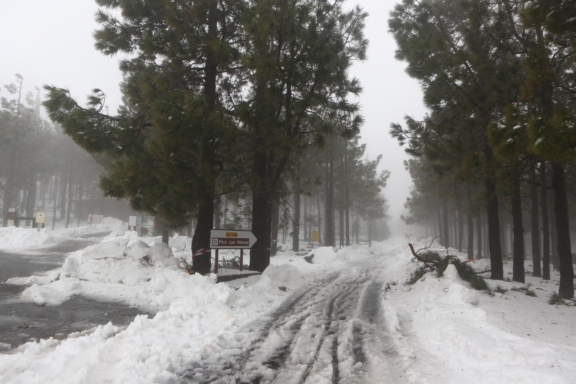 Jornada del sábado, 20 de febrero en la cumbre (Alejandro Ramos).