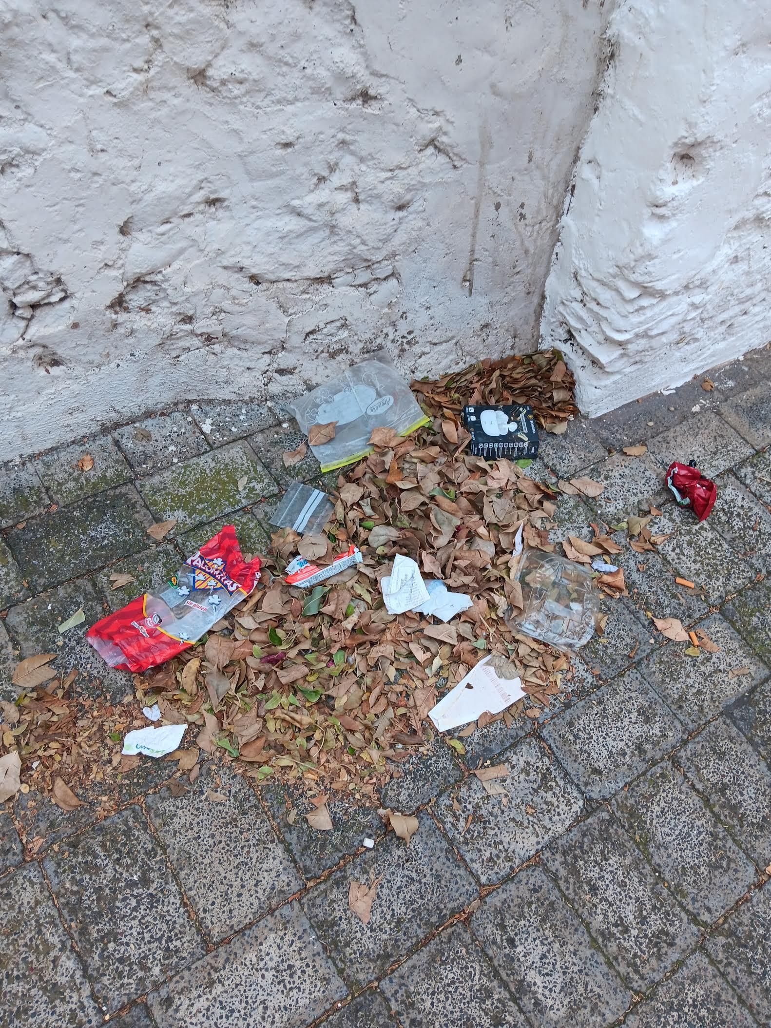 Basuras en la calle El Lomo.