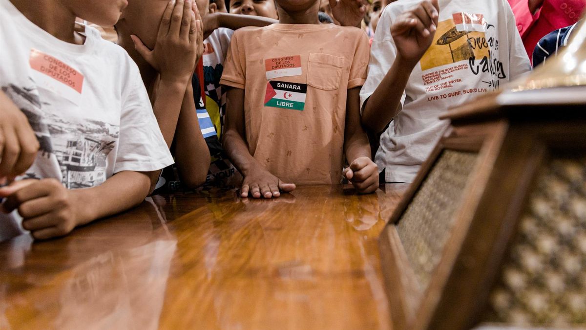 El programa ‘Vacaciones en paz’ busca familias para acoger a 4.000 niños saharauis en verano