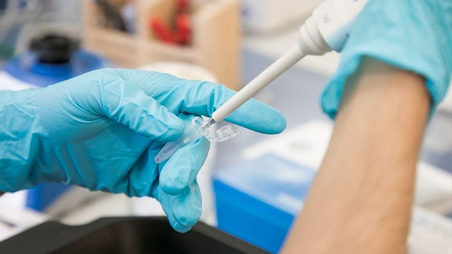 Análisis de una prueba PCR. UNIVERSIDAD DE LA LAGUNA