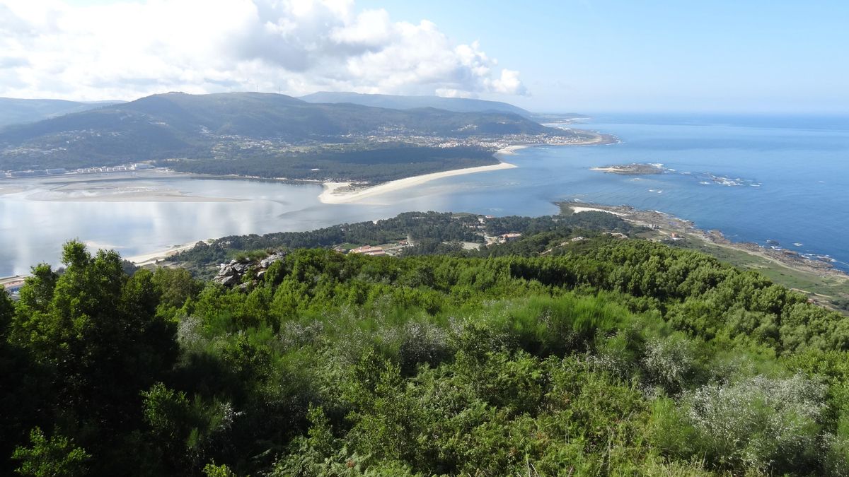 경비대 (갈리시아)