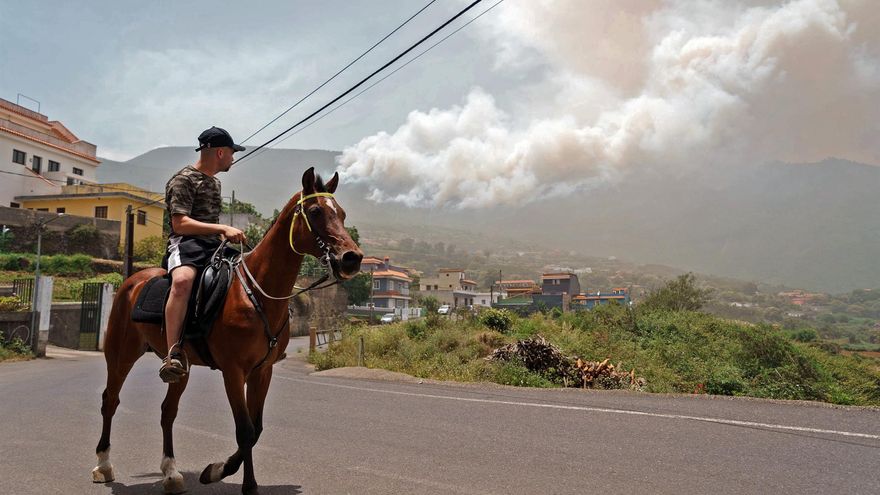 Un vecino de los altos de Los Realejos observa las llamas que afectan desde el jueves al monte del municipio