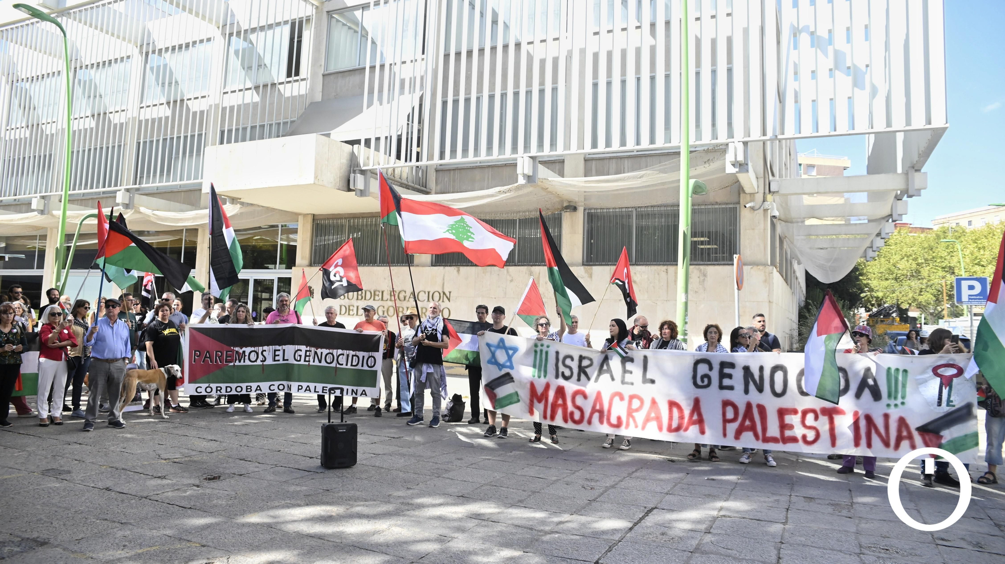 Manifestación por Palestina en la Subdelegación de Gobierno
