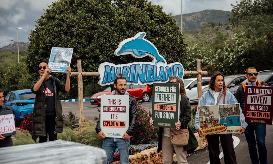 Protesta enfront de Marineland