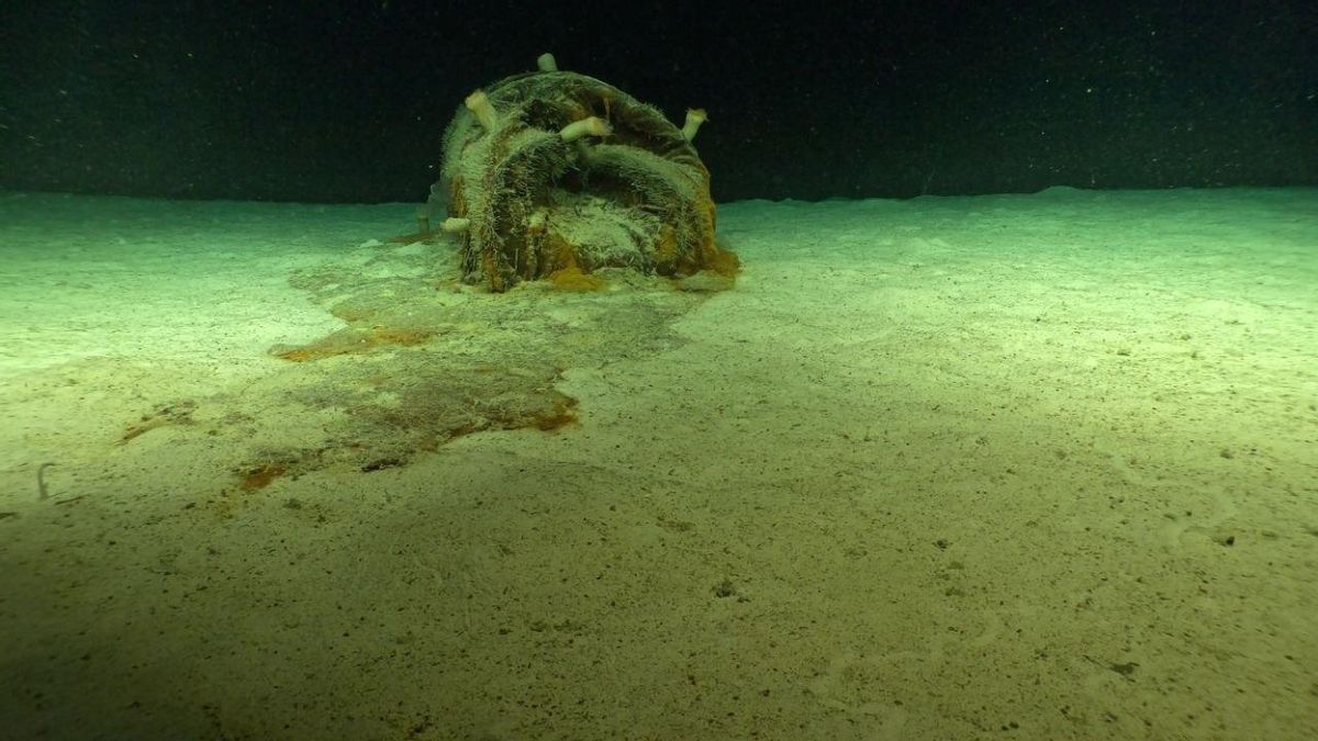 Imágenes de los bidones con material radioactivo en la Fosa Atlántica, captadas por el Proyecto Nodssum