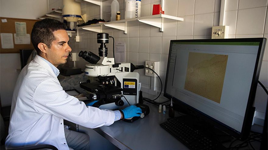 Identifican un marcador en sangre que podría ser clave en fases iniciales del alzhéimer