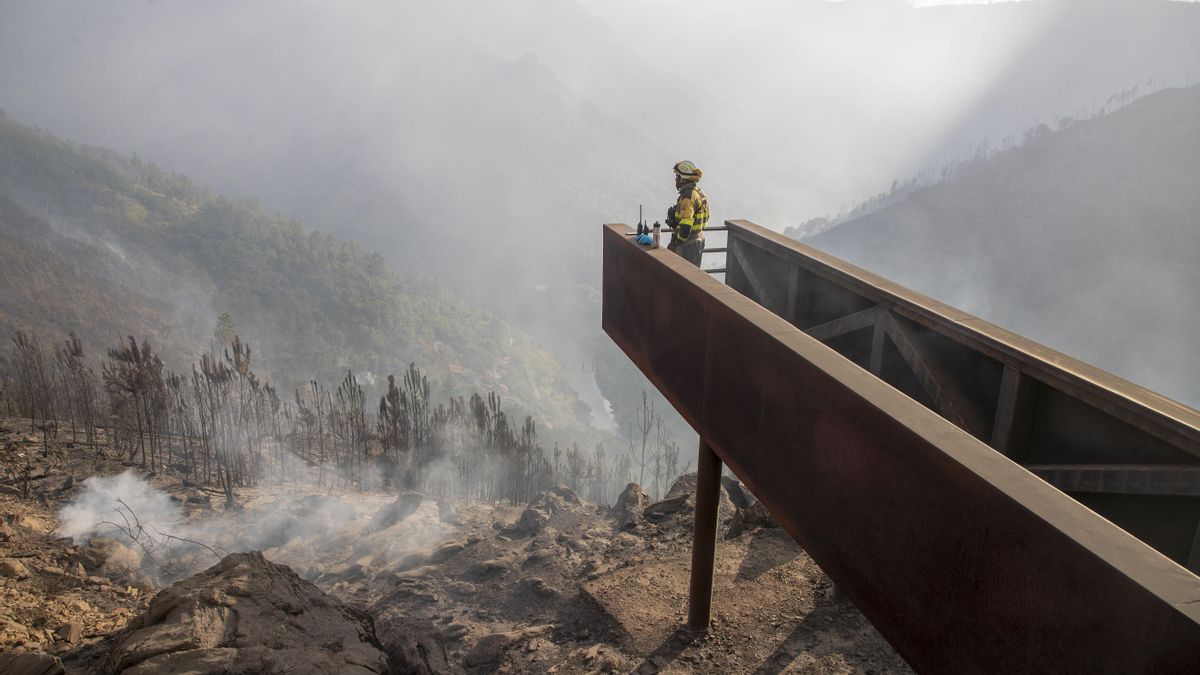 Tres fuegos siguen activos en Galicia tras extinguirse el incendio de O Bolo (Ourense)