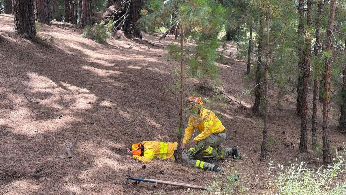 Bomberos forestales de La Palma se forman en atención a personas víctimas de emergencias