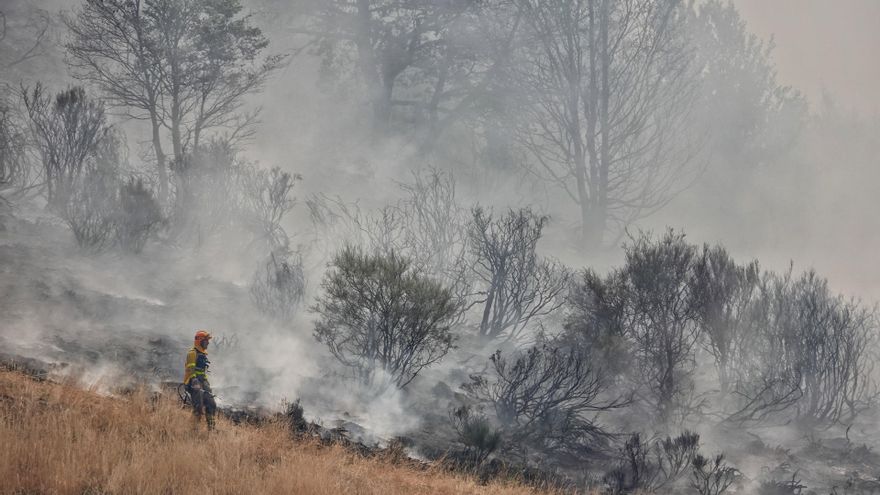 Varias personas tratan de extinguir un fuego en el Puerto de San Glorio.