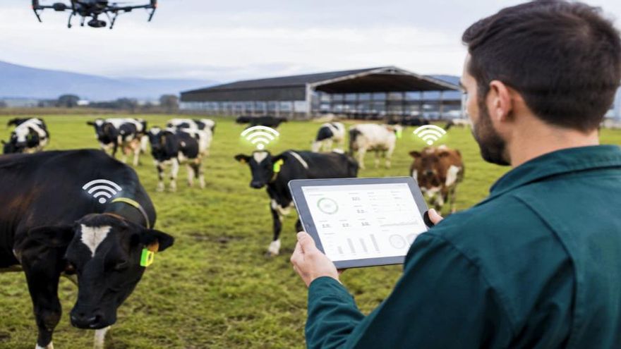 La ganadería del mañana; del campo a la inteligencia artificial
