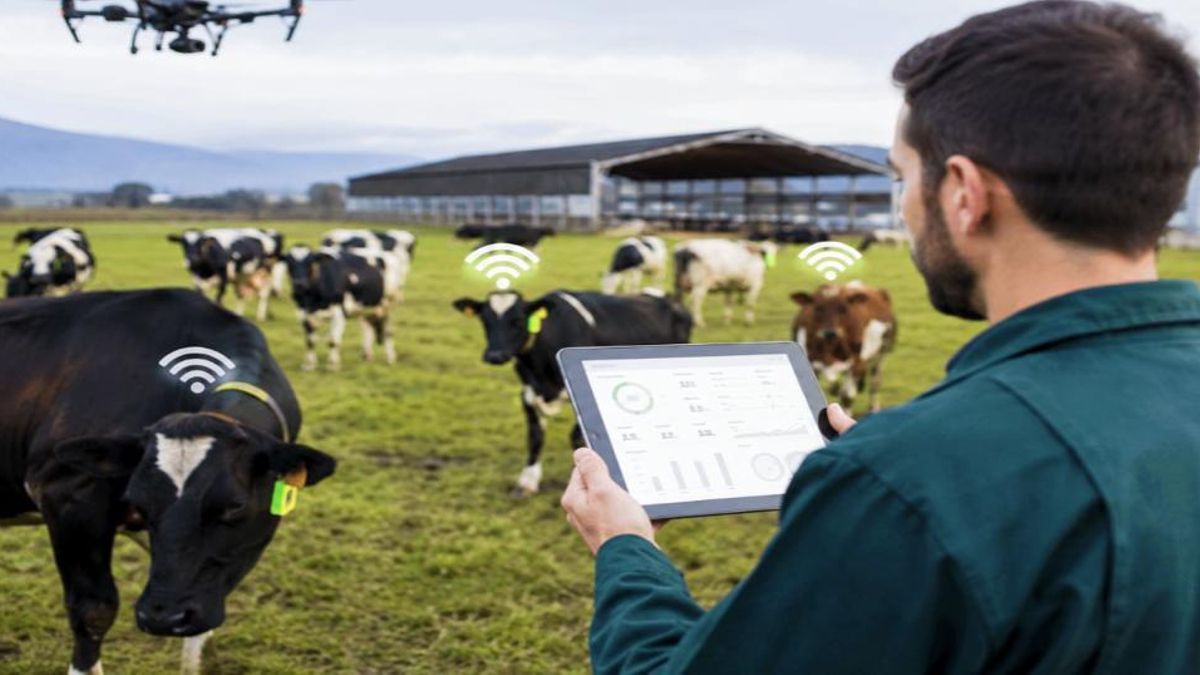 La ganadería del mañana; del campo a la inteligencia artificial