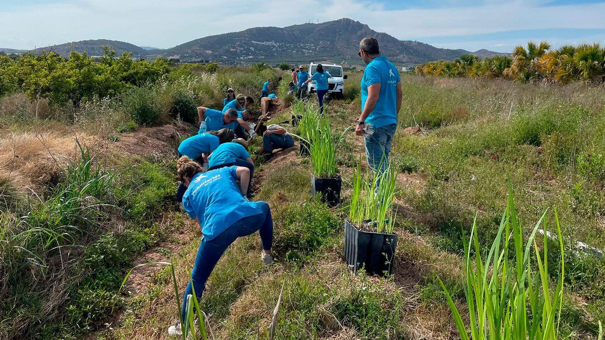 CaixaBank impulsa la transición sostenible de las empresas y la sociedad