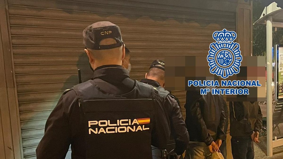 Detenciones en Tenerife. / FOTO: POLICÍA NACIONAL