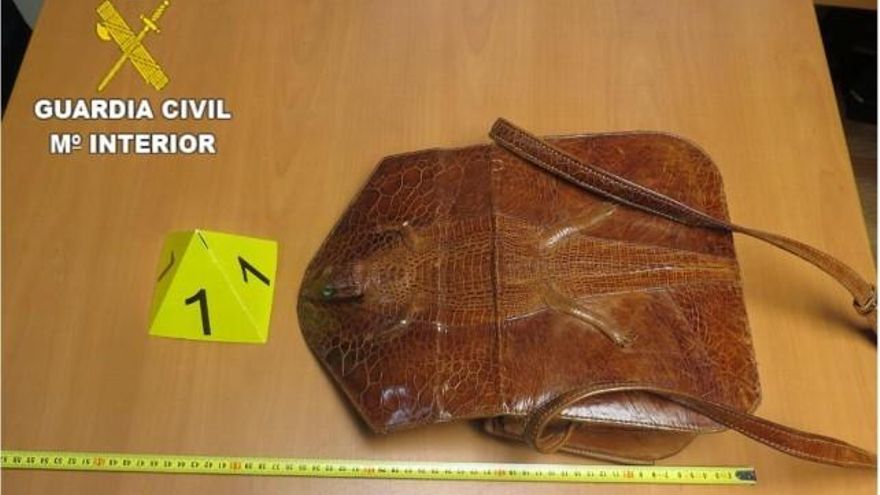Investigan a una mujer por traficar por internet desde León con especies en peligro de extinción