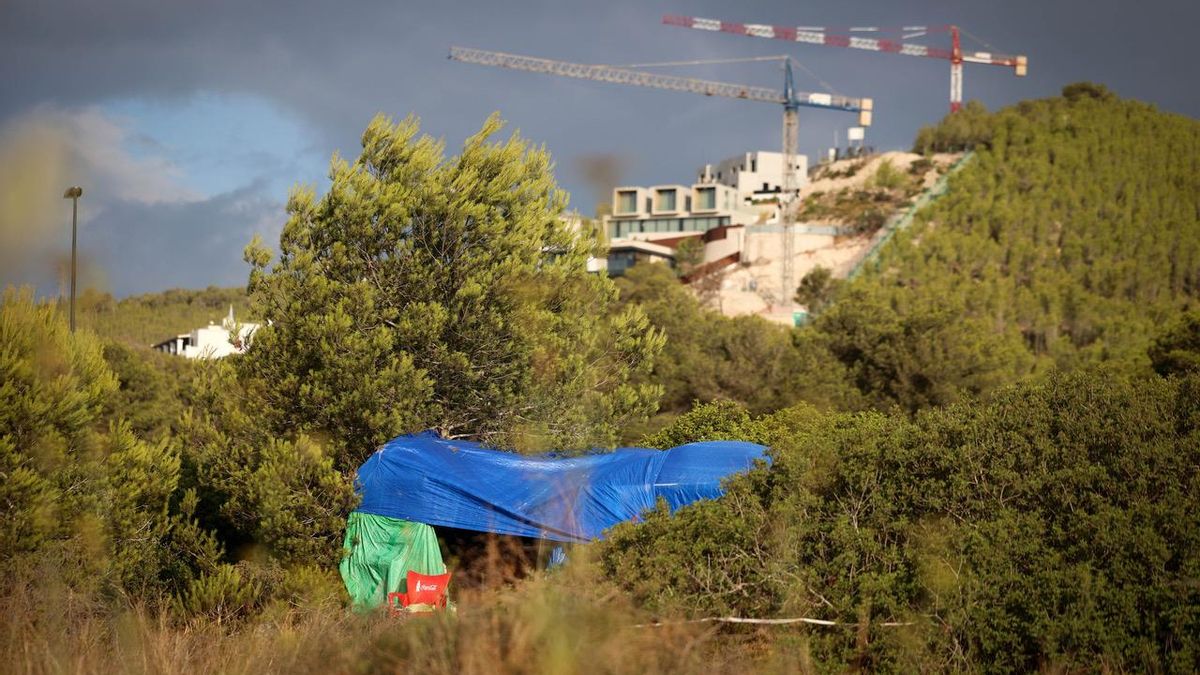 Infraviviendas levantadas entre matorrales y árboles y grúas construyendo viviendas de lujo, el nuevo paisaje del barrio de Can Misses.