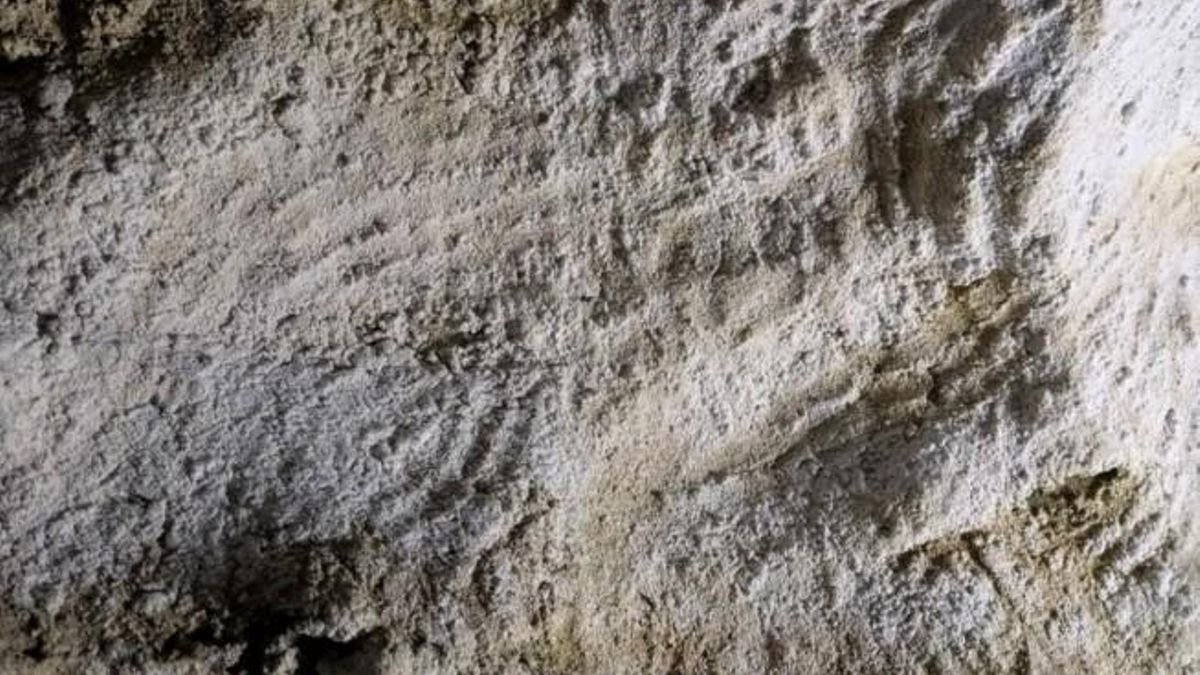 Marcas hechas con tres o cuatro dedos, hundidas en las capas blandas de las paredes de una cueva.