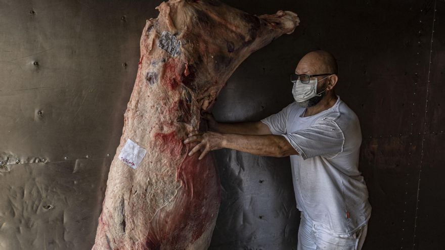 El Gobierno detuvo exportaciones de carne que intentaban sortear el cupo