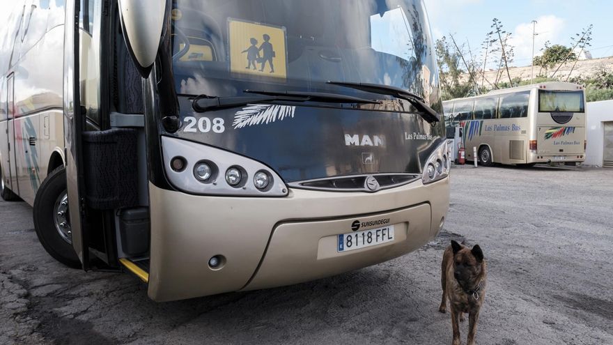 Guaguas en las cocheras de una de las principales empresas de transporte de Gran Canaria, donde este lunes se realizan labores de mantenimiento y limpieza de los vehículos. EFE/Ángel Medina G.