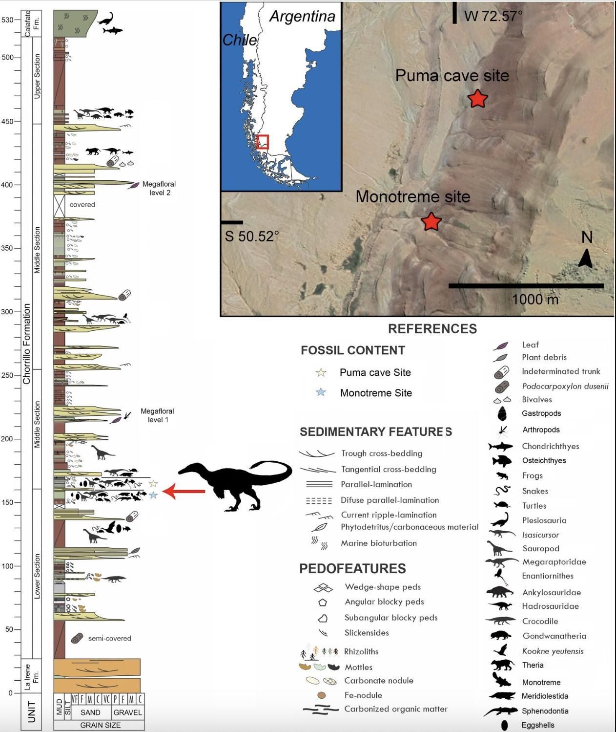 Mapa de la localidad y la columna estratigráfica