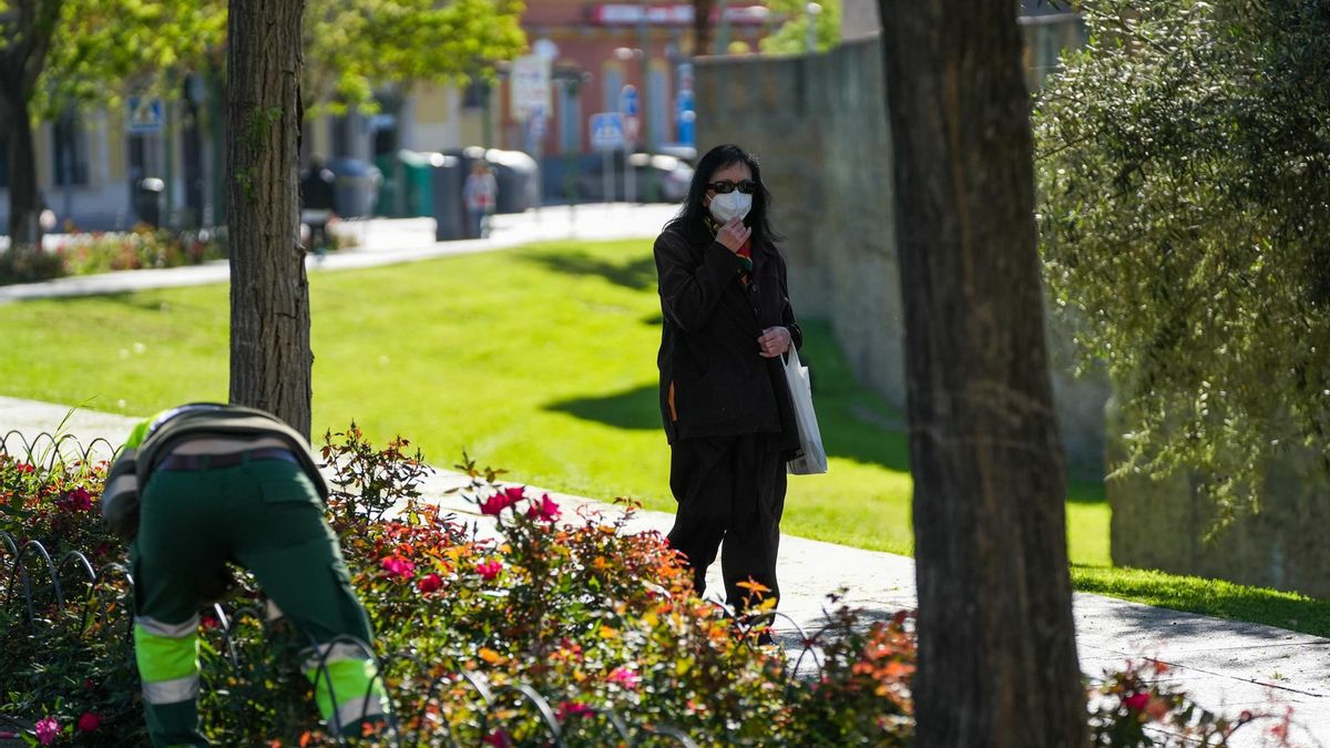 Niveles entre moderado y rojo en cuatro provincias andaluzas en gramíneas y plátano de sombra