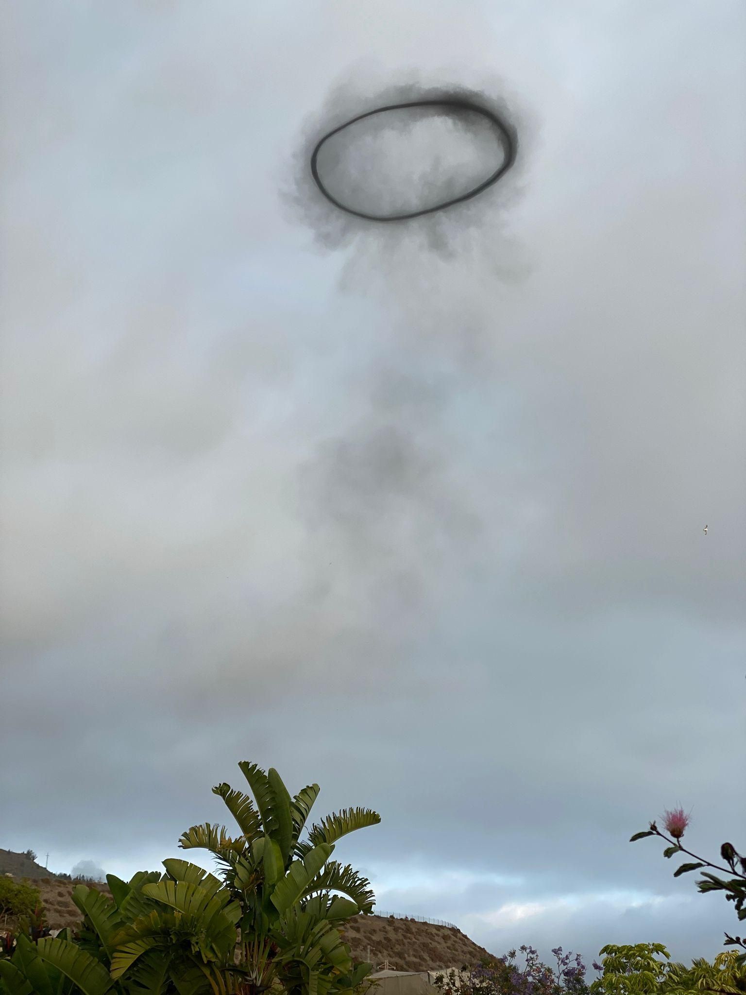 El anillo avistado este lunes en la costa de Tijarafe. SANDRA W.