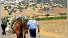 Desarrollo mundo rural