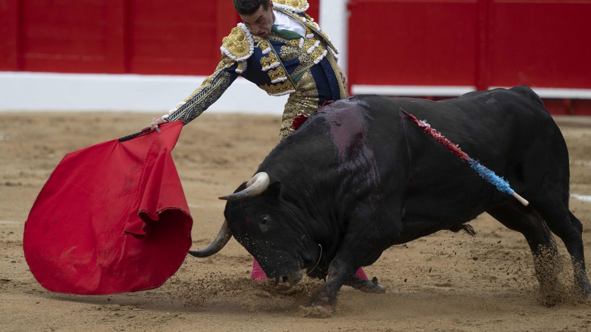 La izquierda en Cort denuncia que menores puedan asistir a corridas de toros por primera vez desde 2017