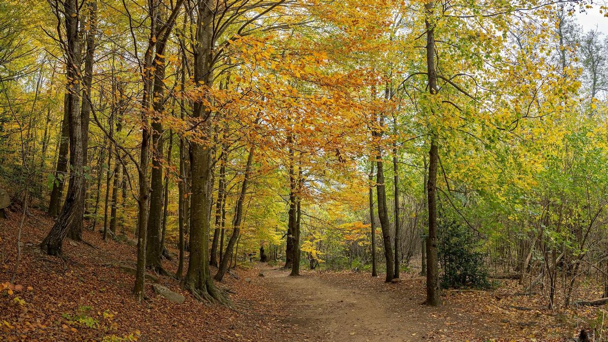 Senderos que invitan a pasear.