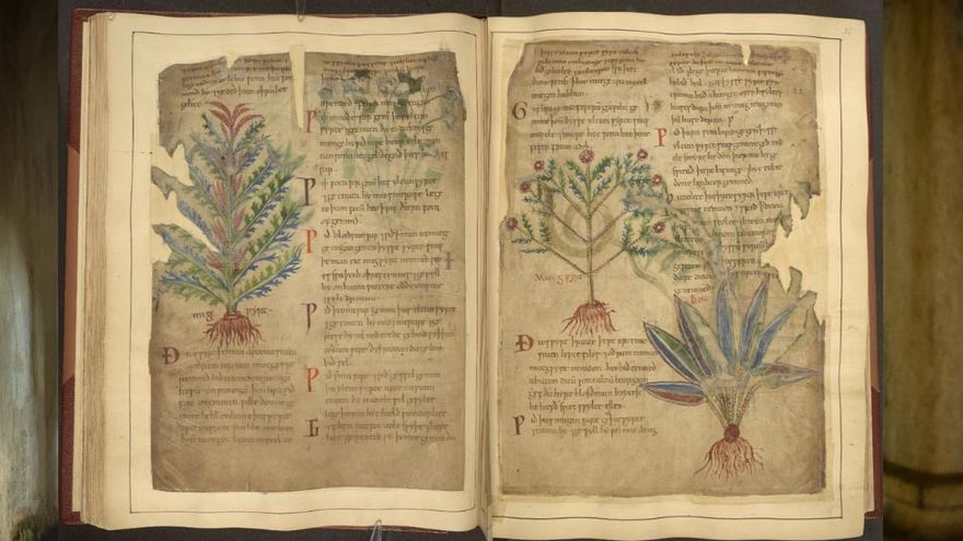 Cientos de manuscritos médicos desmontan el mito de la Edad Media como una época oscura y anticientífica