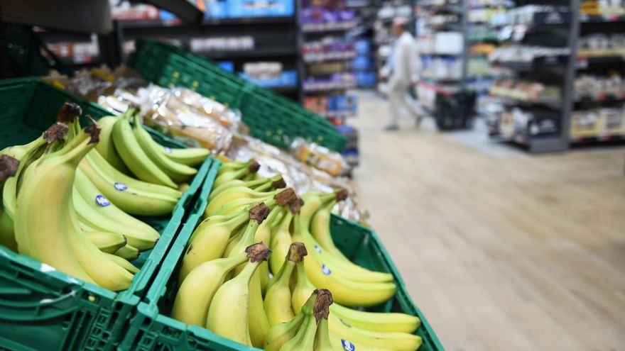 El plátano se sacude sus males: la fruta canaria ya logra precios remunerativos en la Península