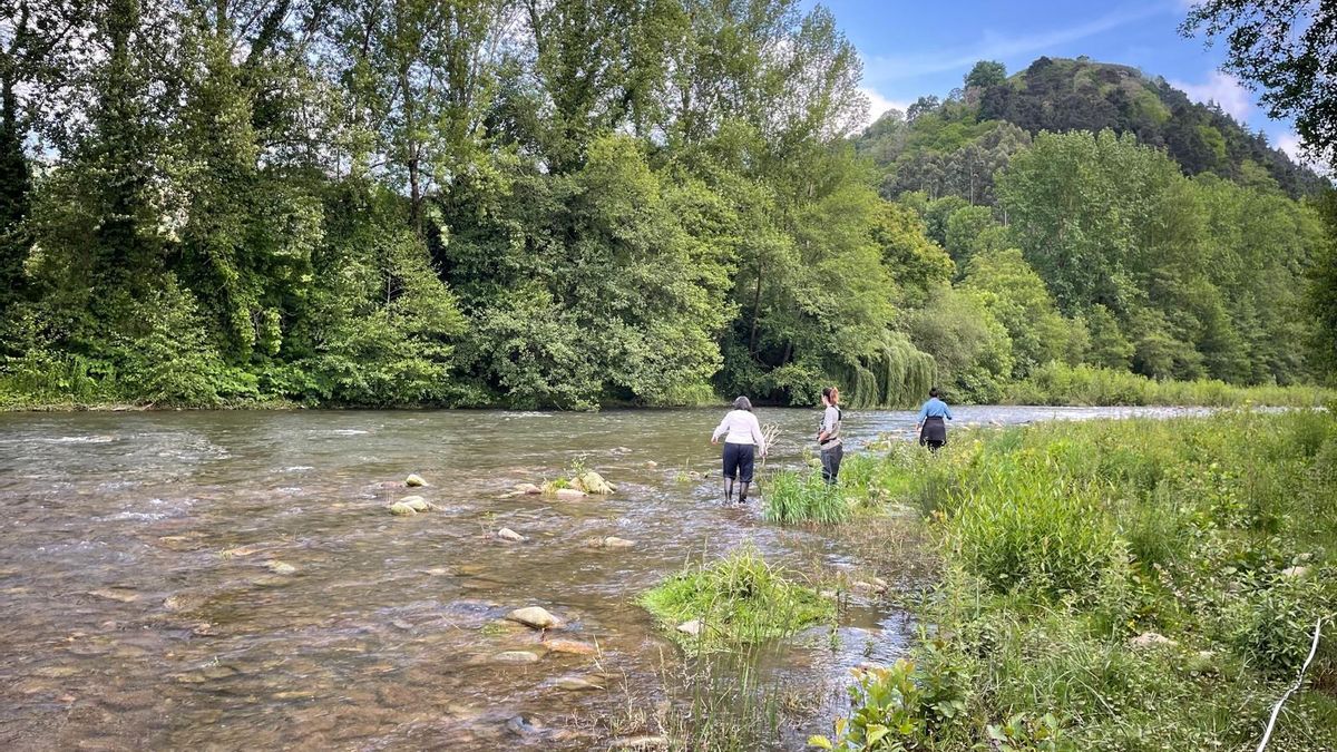 Casi un millar de voluntarios inspeccionarán en mayo los ríos de Cantabria