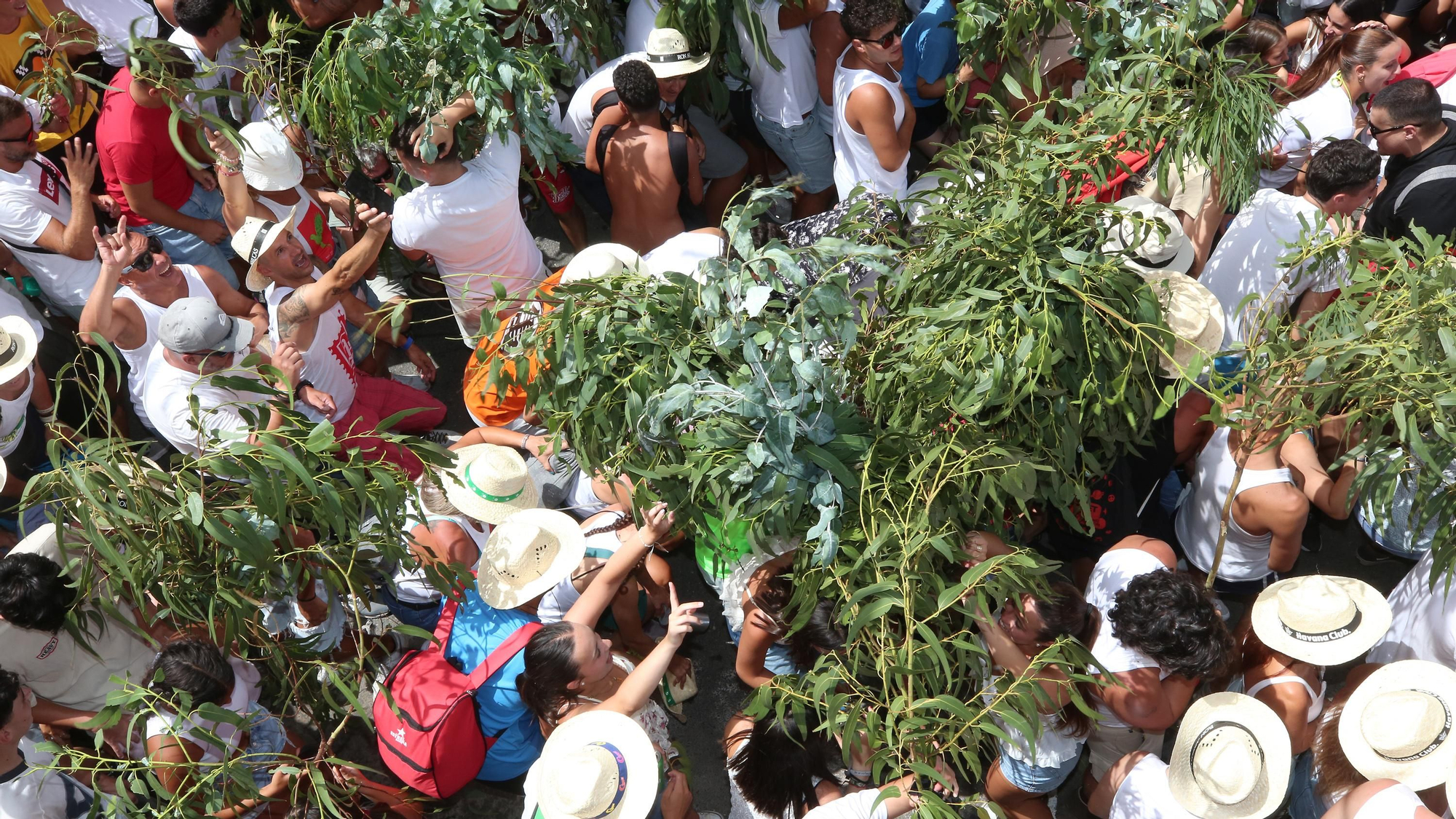 Galería de imágenes de La Rama 2025