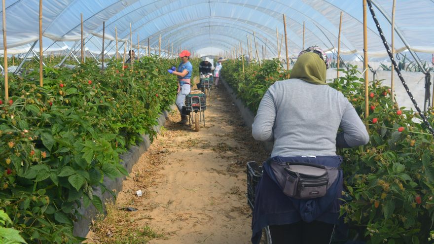 Restricciones por primera vez en la historia en la cuenca que debe dar agua a Doñana para aliviar la presión del regadío