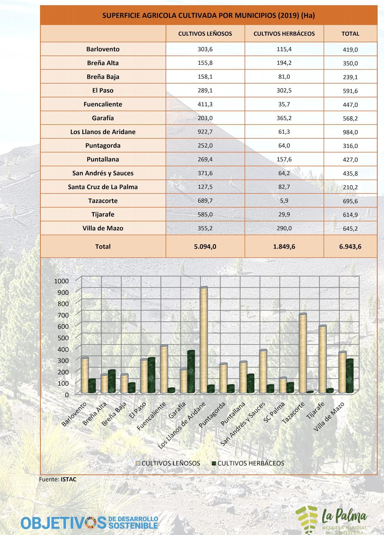 Superficie agrícola cultiva por municipio.