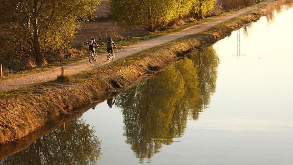 Canal de Castilla hacia Cigales, Valladolid.