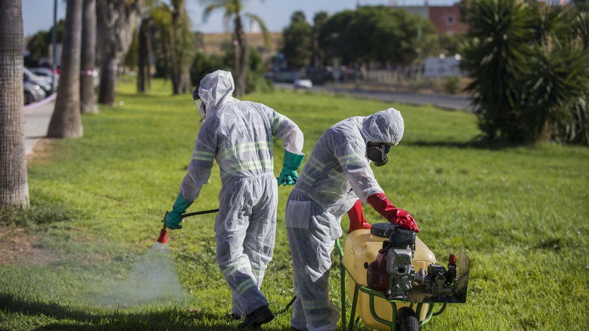 Labores de fumigación contra los mosquitos en Coria del Río
