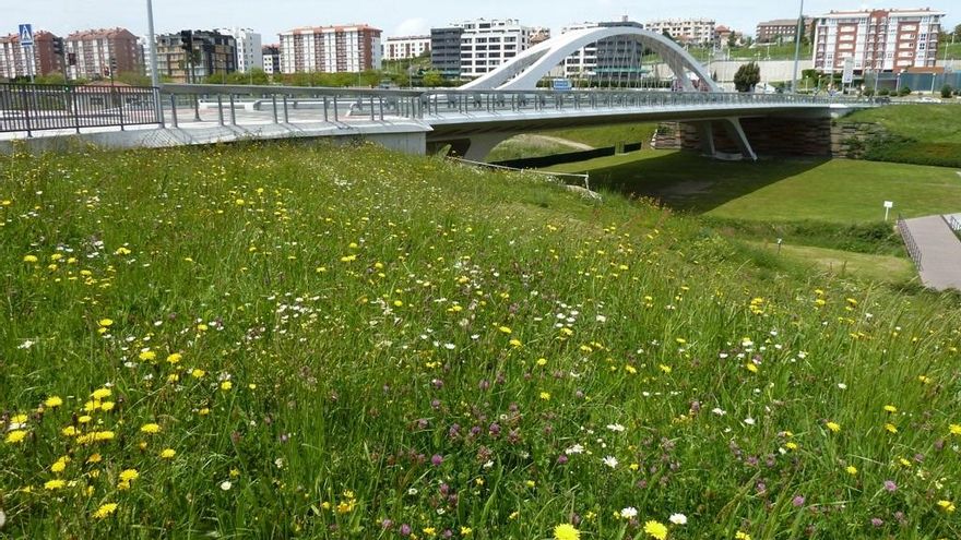 Archivo - Acción de fomento de la biodiversidad en el Parque de Las Llamas