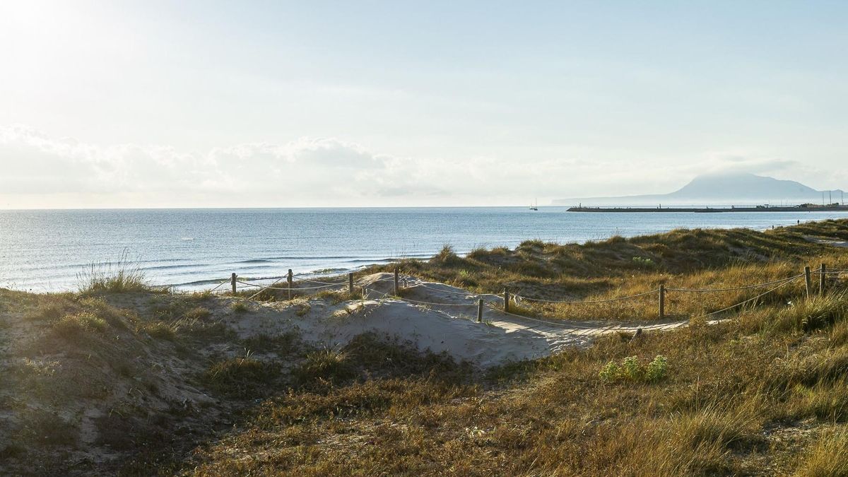 Oliva, el equilibrio perfecto entre playa y territorio