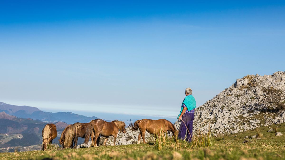 Bizkaia cierra 2024 con más de 4 millones de pernoctaciones y supera los 2  millones de visitantes