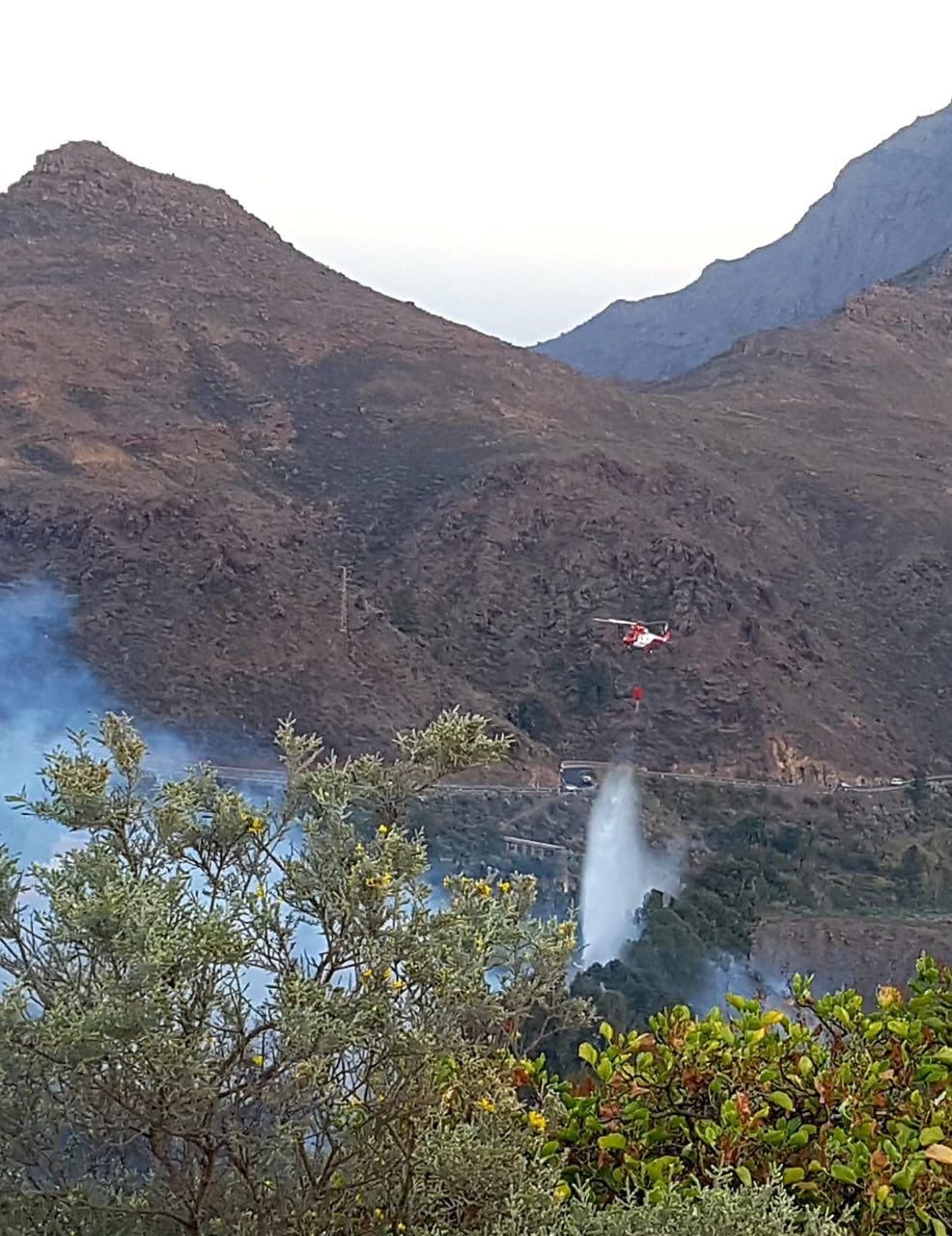 El fuego calcina 35 hectáreas de palmeral en Fataga