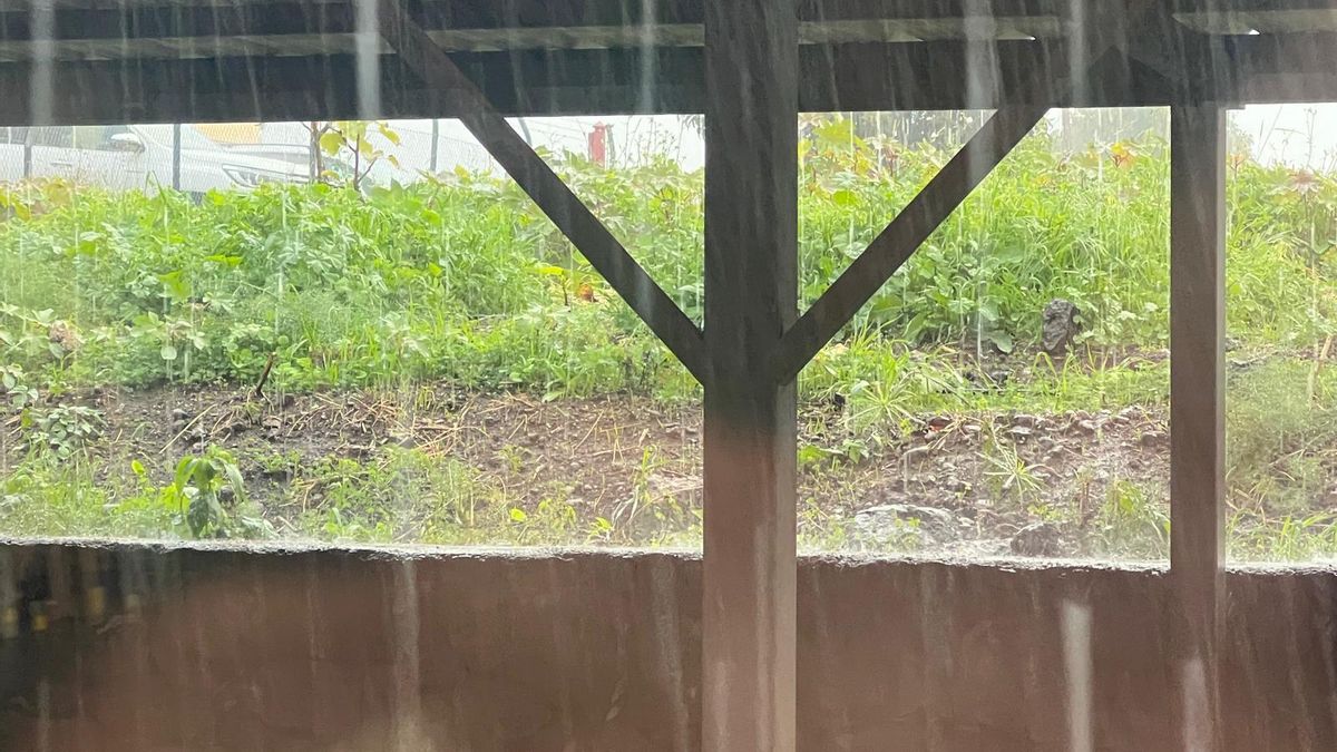 Imagen de lluvias este viernes en Breña Alta.