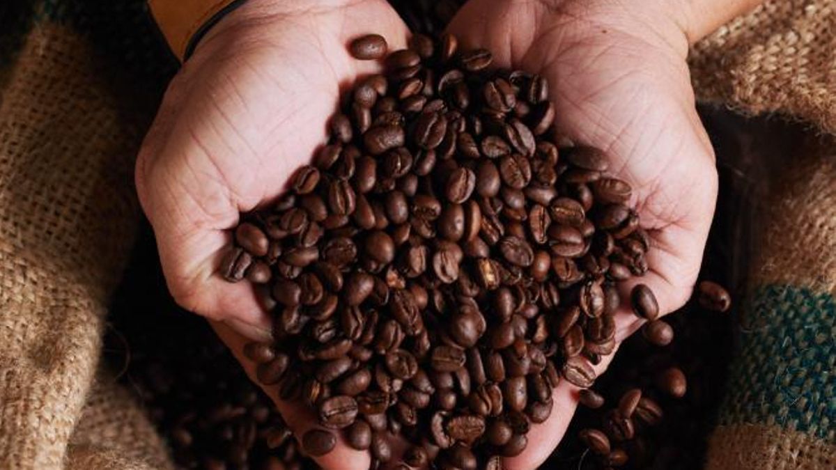 Café en grano